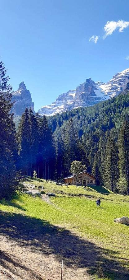 Chalet Brenta Dolomites Madonna Exteriör bild