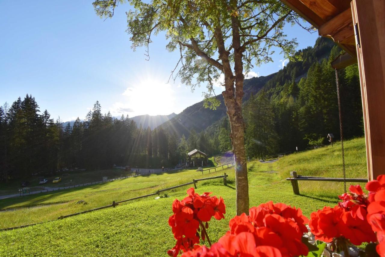 Chalet Brenta Dolomites Villa Madonna Exteriör bild