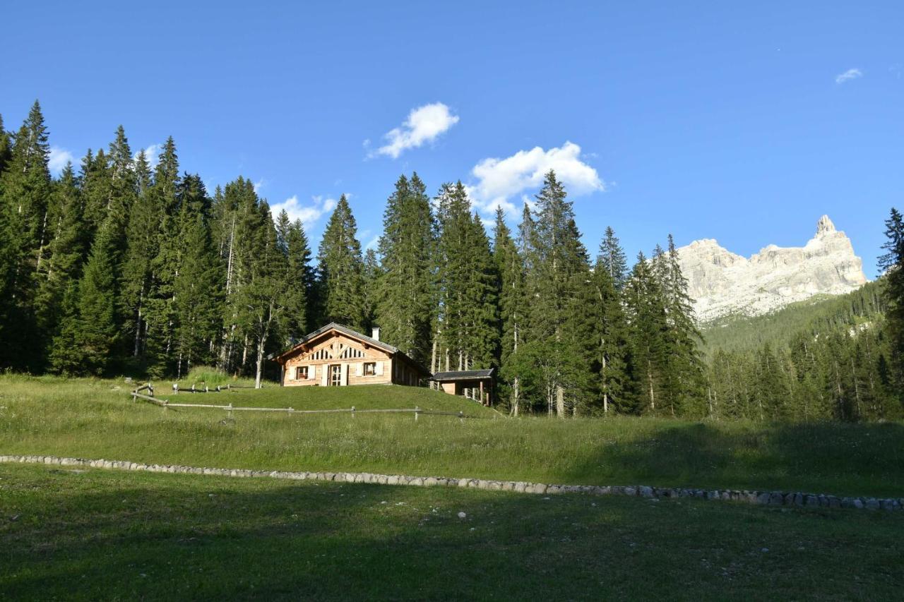 Chalet Brenta Dolomites Villa Madonna Exteriör bild