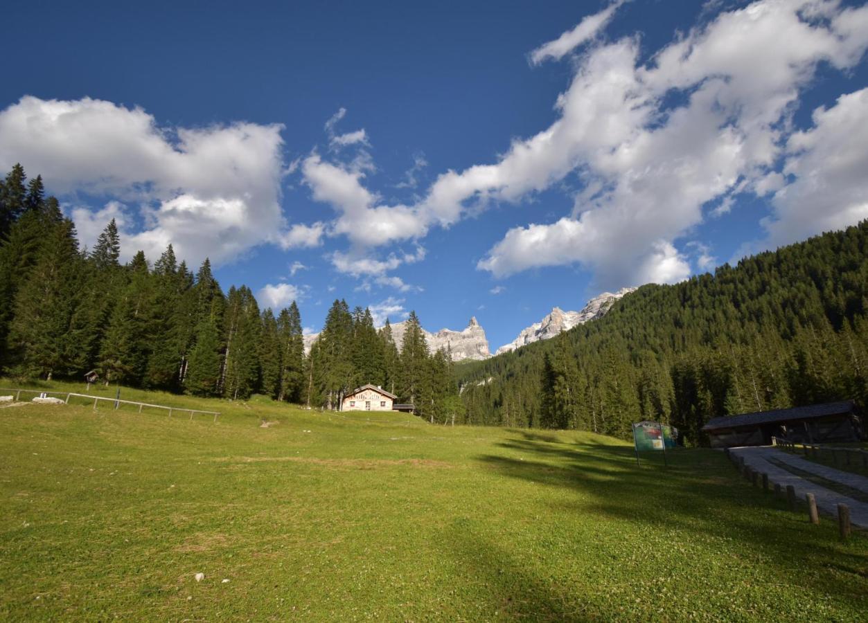 Chalet Brenta Dolomites Madonna Exteriör bild