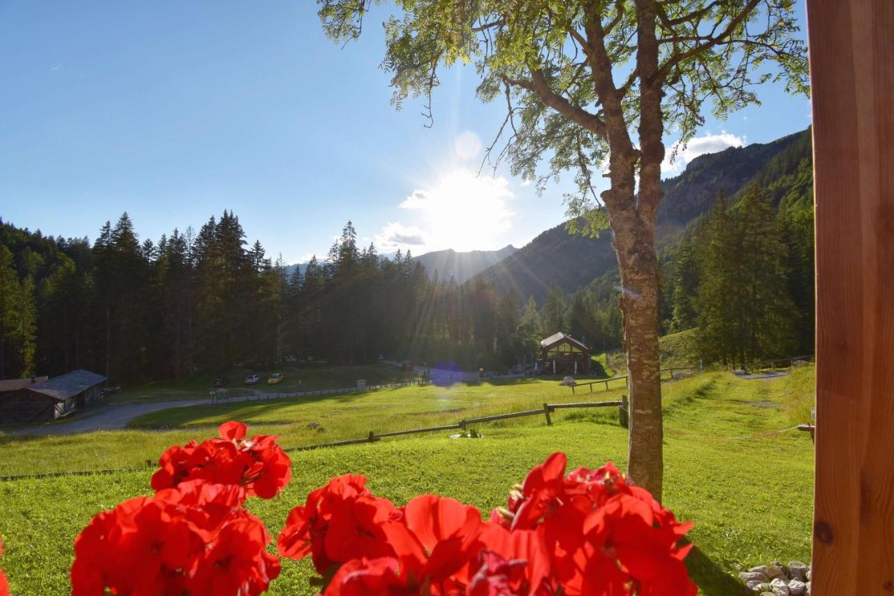 Chalet Brenta Dolomites Villa Madonna Exteriör bild