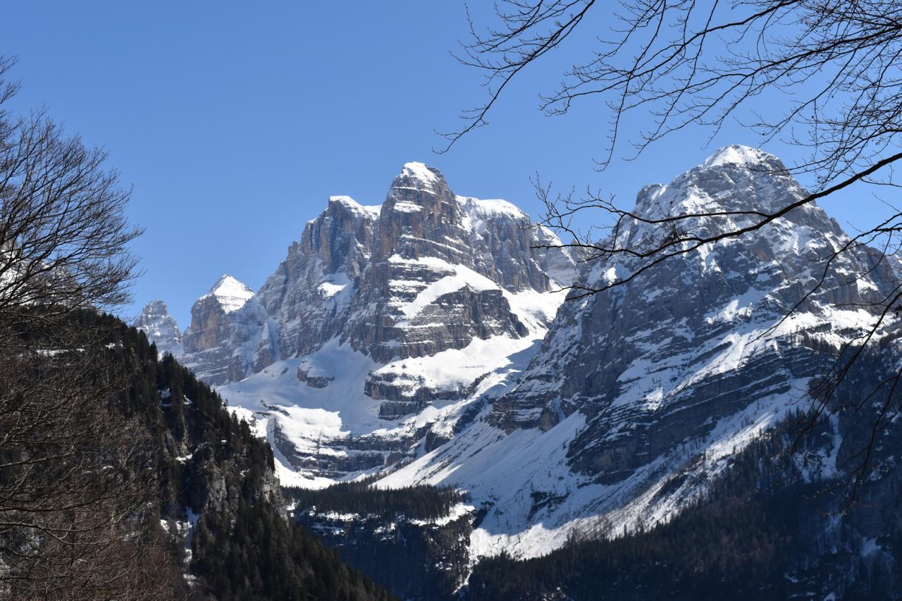 Chalet Brenta Dolomites Madonna Exteriör bild