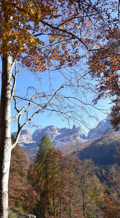 Chalet Brenta Dolomites Villa Madonna Exteriör bild